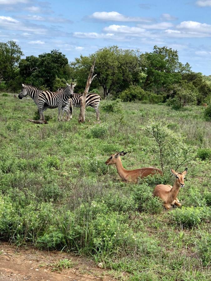 The Wild Blue Lodge Safari & Spa Hoedspruit Exteriör bild